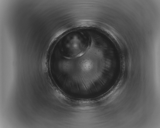 X0000111941018200908171252