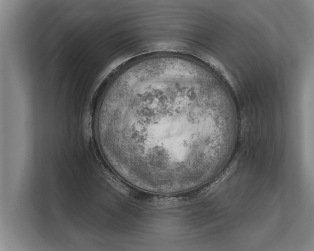 X0000111941019200908171252