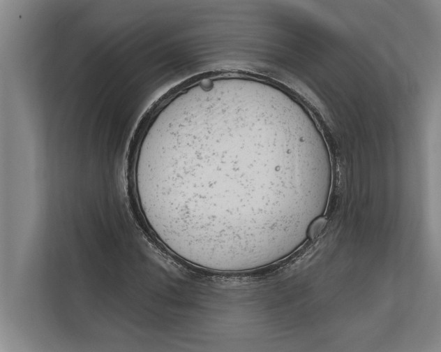 X0000111941020200908171252