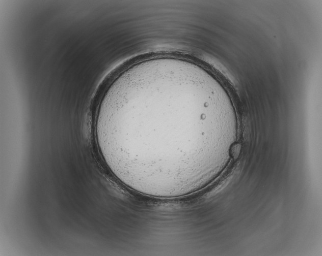 X0000111941021200908171252