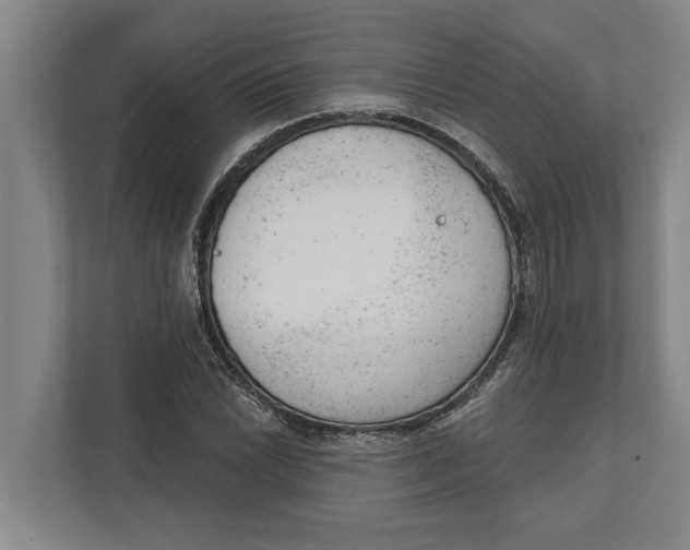 X0000111941022200908171252