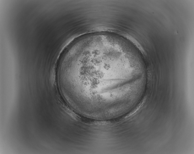 X0000111941023200908171253