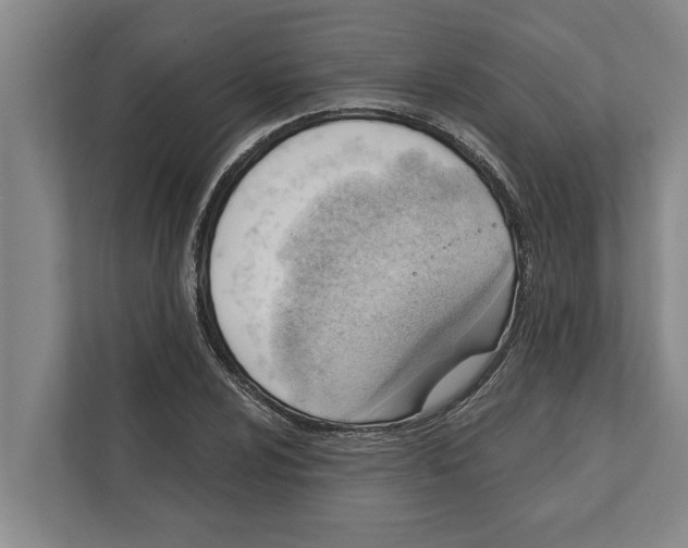 X0000111941024200908171253