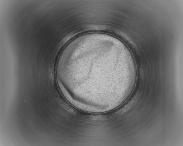 X0000111941025200908171253