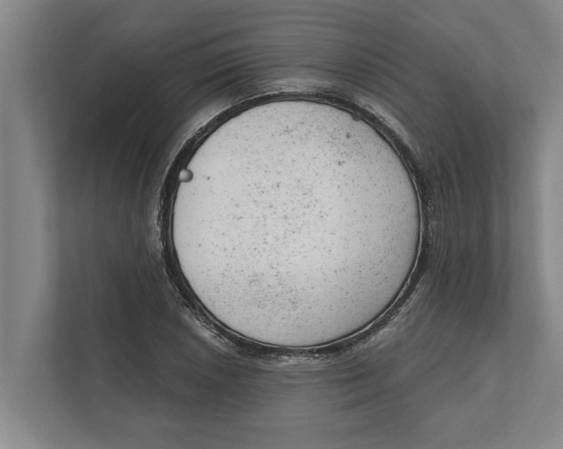 X0000111941026200908171253