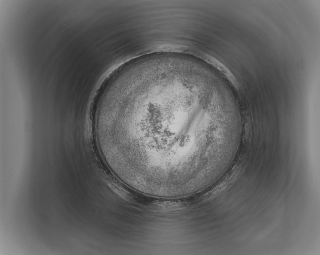 X0000111941027200908171253