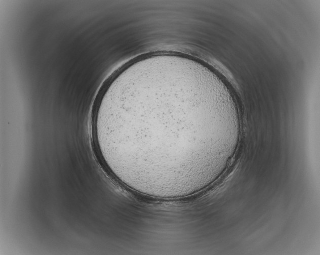 X0000111941028200908171253