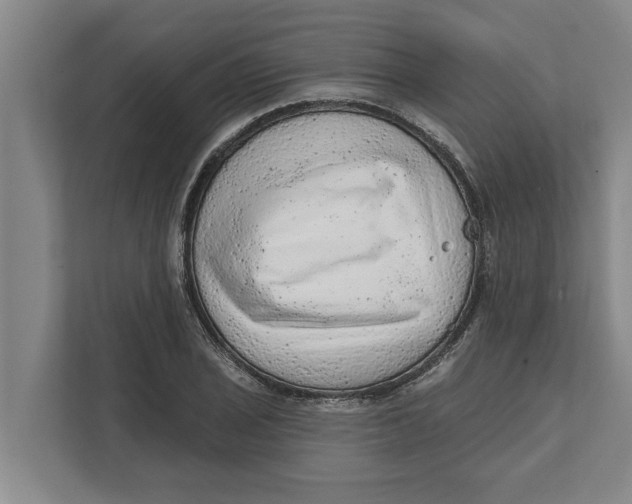 X0000111941029200908171253