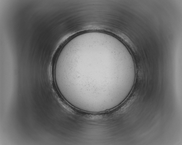 X0000111941030200908171253