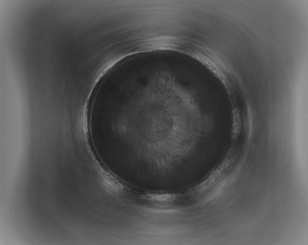 X0000111941031200908171253