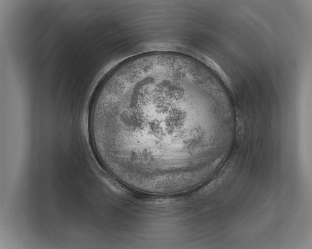 X0000111941035200908171253