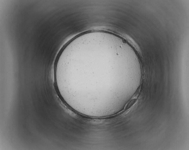 X0000111941036200908171253