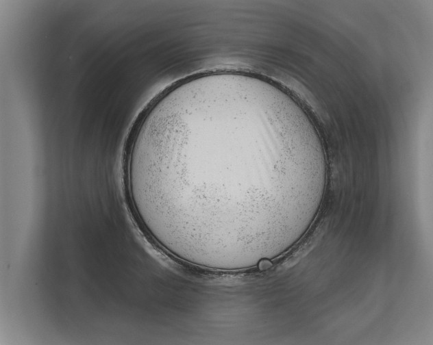 X0000111941038200908171253