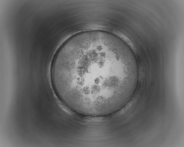 X0000111941039200908171253