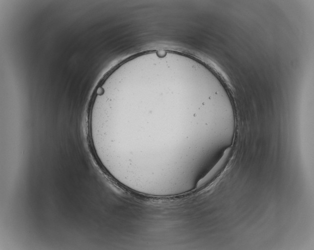 X0000111941040200908171253