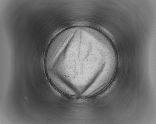 X0000111941041200908171253