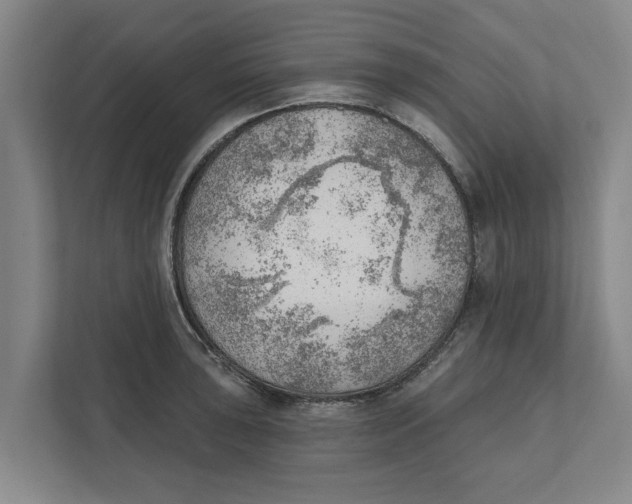 X0000111941043200908171253