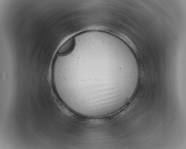 X0000111941044200908171253