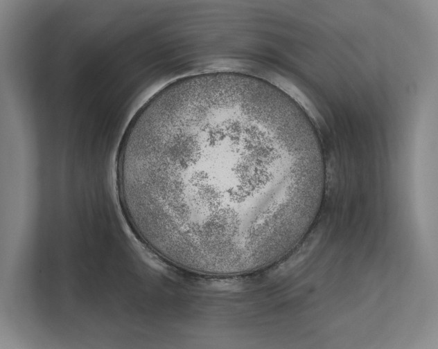 X0000111941047200908171253