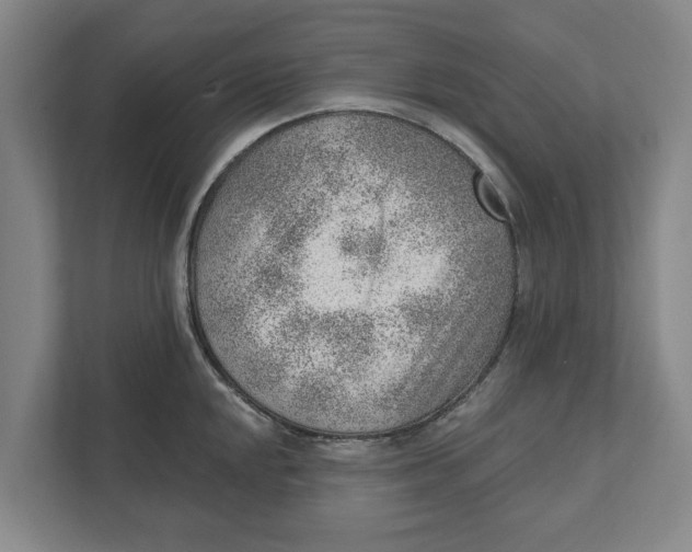 X0000111941048200908171253