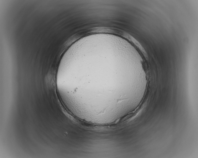 X0000111941049200908171253