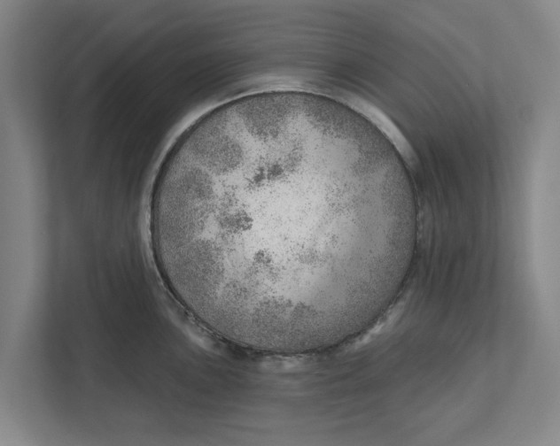 X0000111941051200908171253