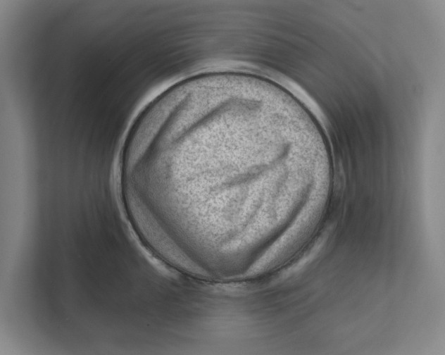 X0000111941053200908171253