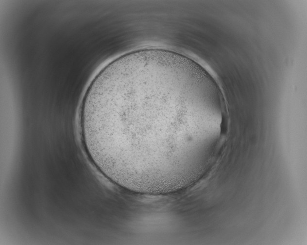 X0000111941056200908171253