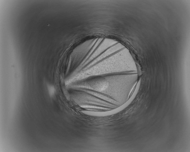 X0000111941057200908171252