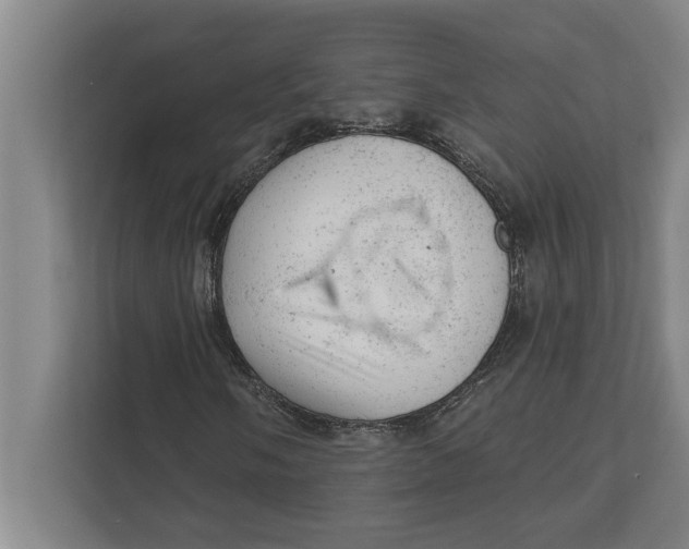 X0000111941058200908171252