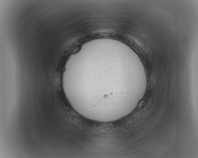 X0000111941062200908171252