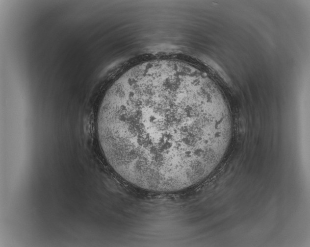 X0000111941063200908171252