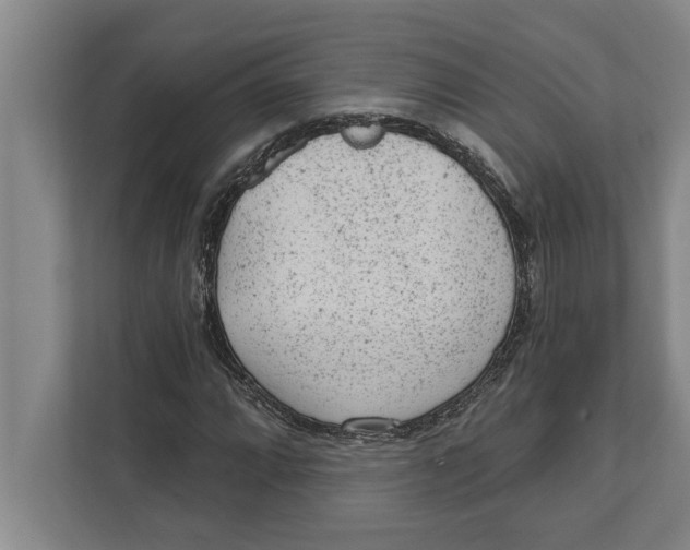 X0000111941064200908171252