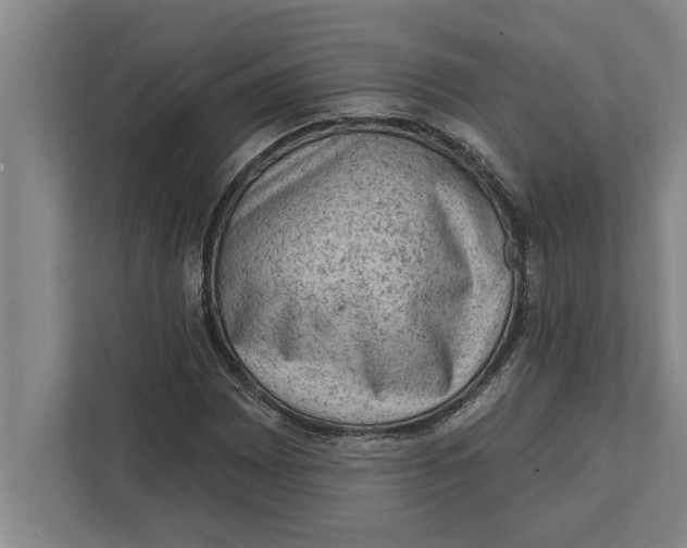 X0000111941065200908171252