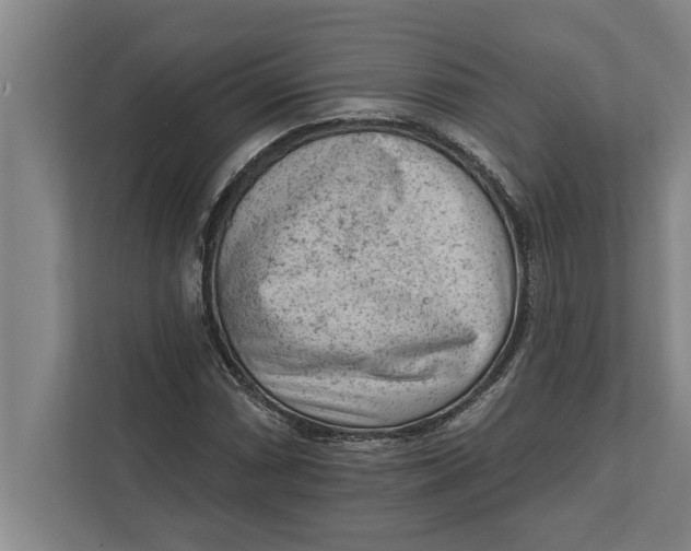 X0000111941066200908171252