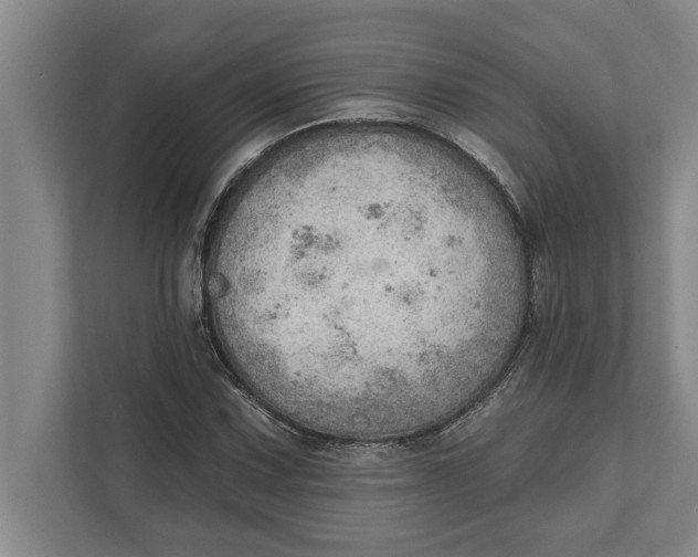 X0000111941067200908171252