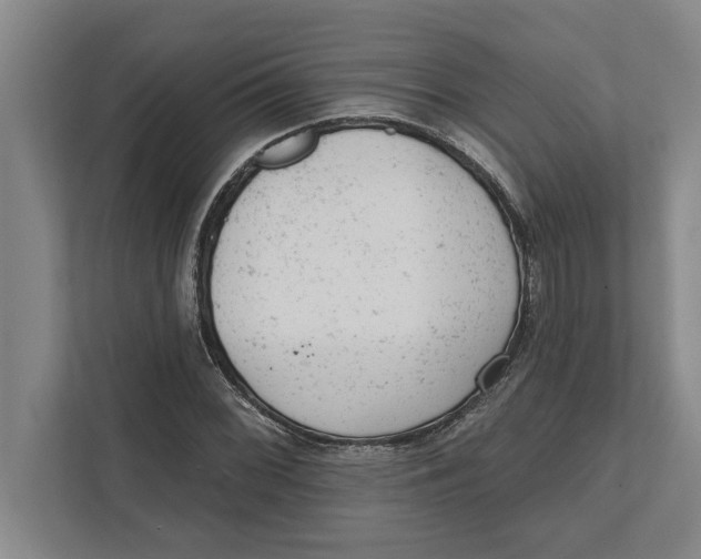 X0000111941068200908171252