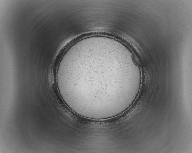 X0000111941069200908171252