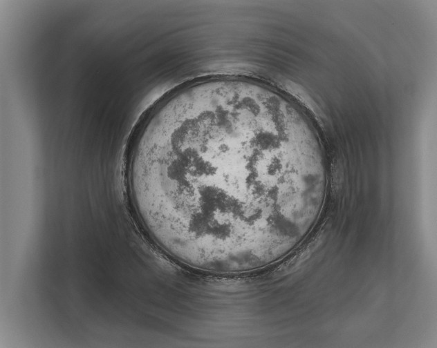 X0000111941071200908171252