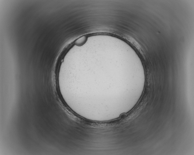 X0000111941072200908171252