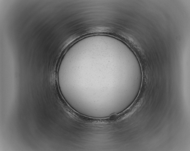 X0000111941073200908171252