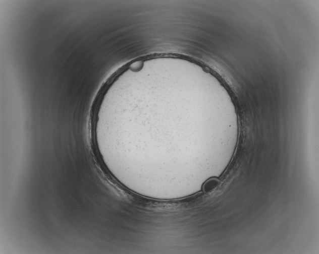 X0000111941076200908171252