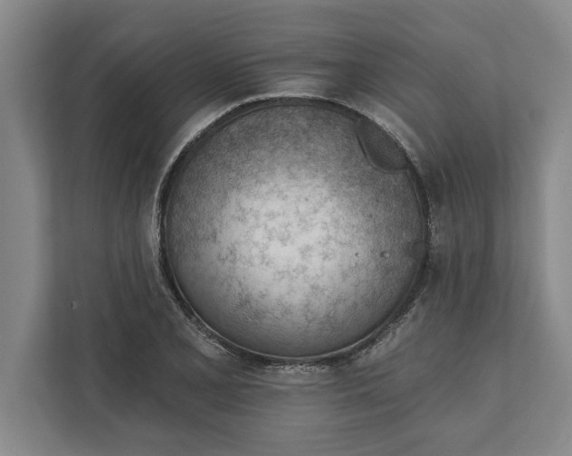 X0000111941077200908171252