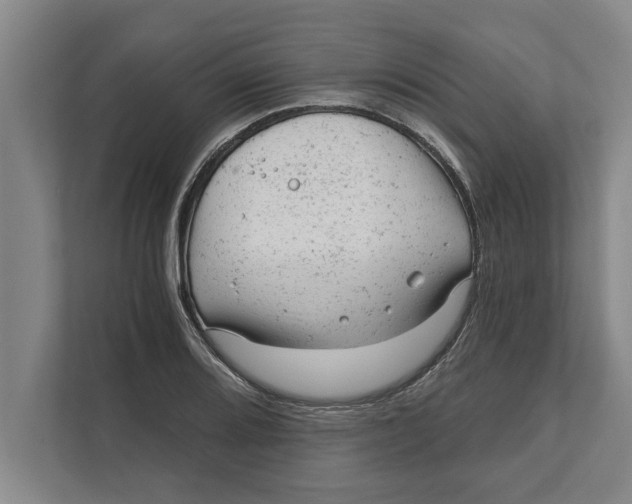 X0000111941080200908171252