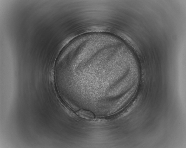 X0000111941081200908171252