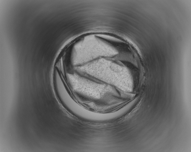 X0000111941085200908171252