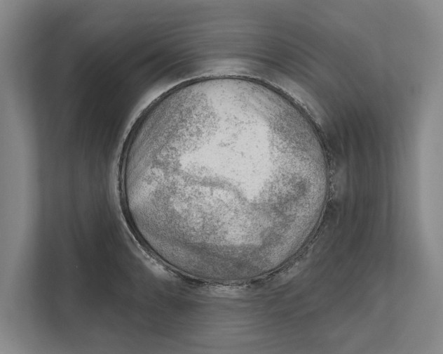 X0000111941086200908171252