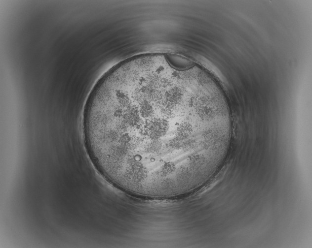 X0000111941087200908171252