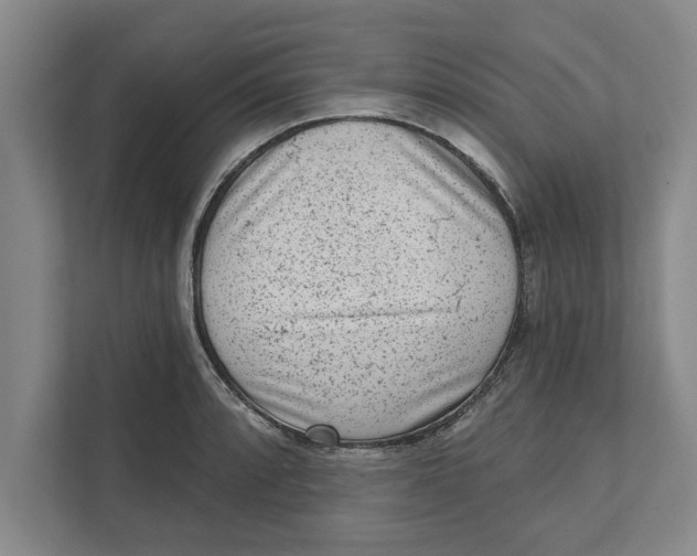 X0000111941088200908171252