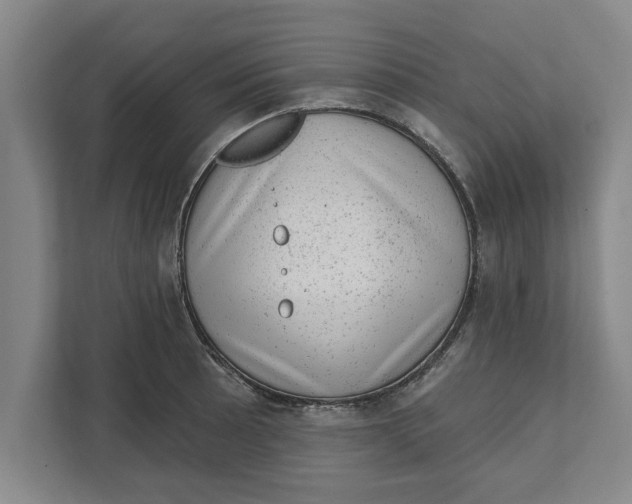 X0000111941089200908171252